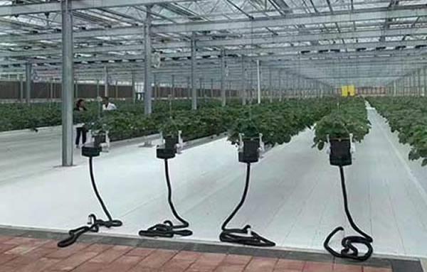 pc闆溫室大棚